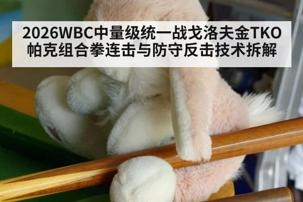2026WBC中量级统一战戈洛夫金TKO帕克组合拳连击与防守反击技术拆解