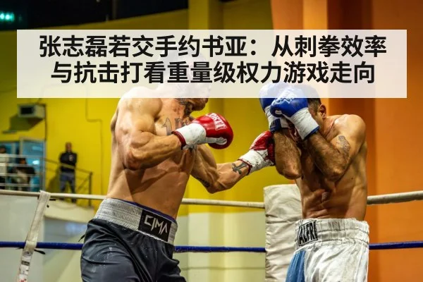 张志磊若交手约书亚：从刺拳效率与抗击打看重量级权力游戏走向