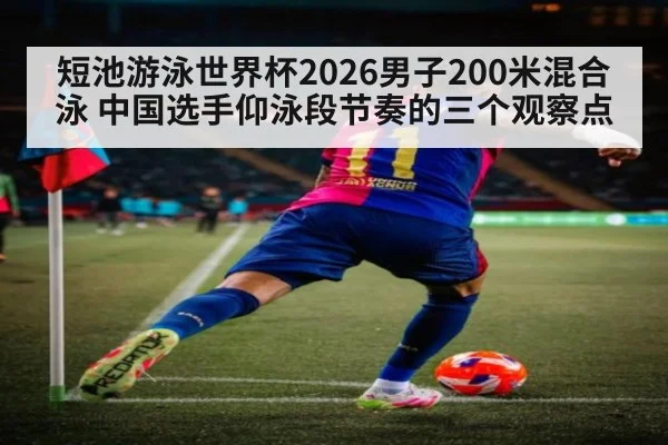 短池游泳世界杯2026男子200米混合泳 中国选手仰泳段节奏的三个观察点